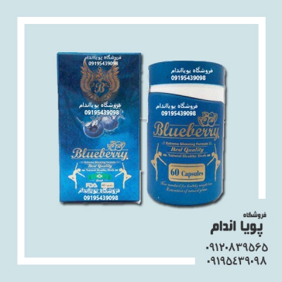 کپسول لاغری بلوبری (Bluebery Capsules)